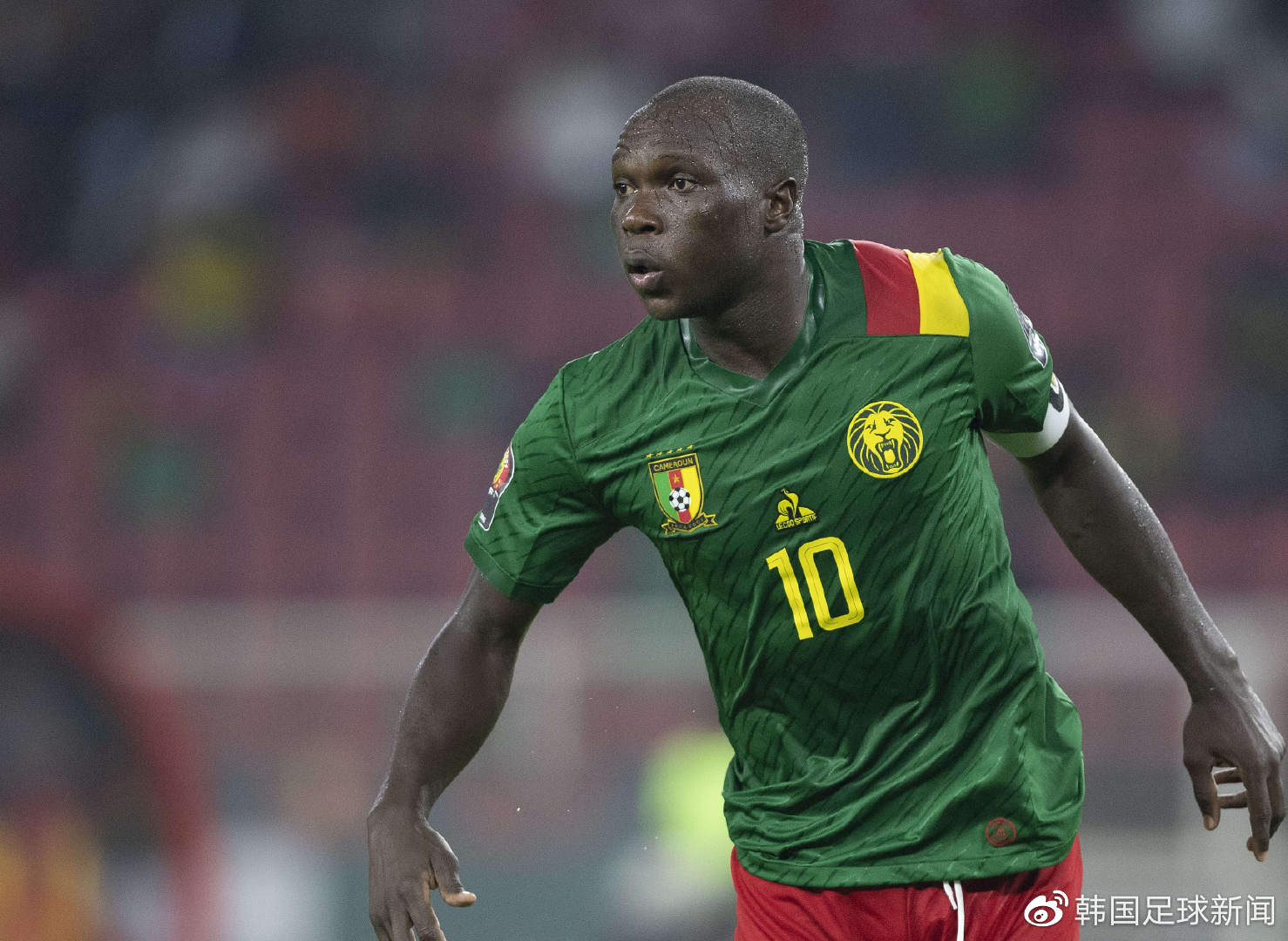 关于非洲篮球职业联赛冠军争夺激烈,球员技术精湛的信息 关于非洲篮球职业联赛冠军争夺激烈,球员技术精湛的信息