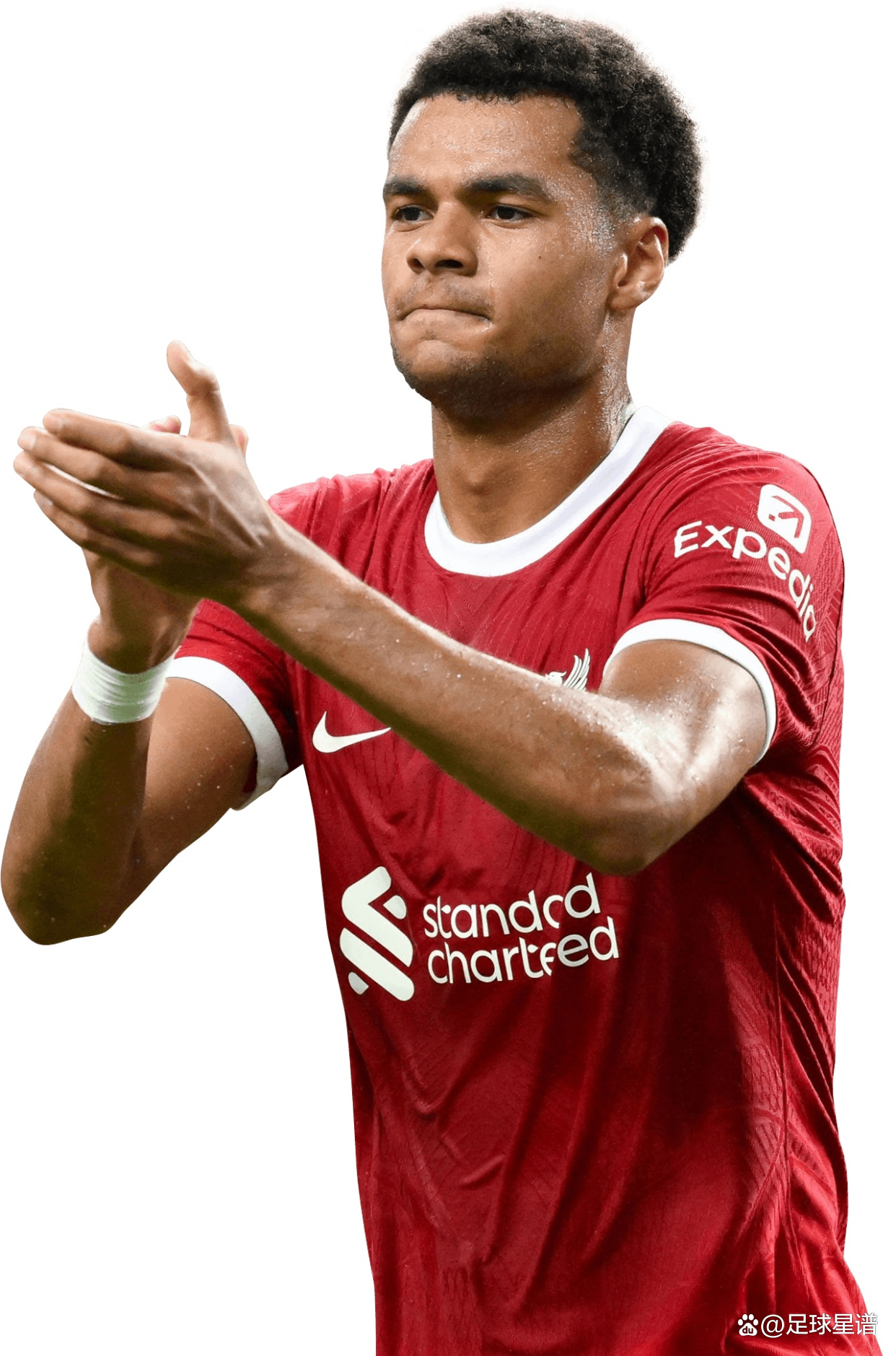 包含利物浦主场大胜,继续保持不败记录的词条 包含利物浦主场大胜,继续保持不败记录的词条