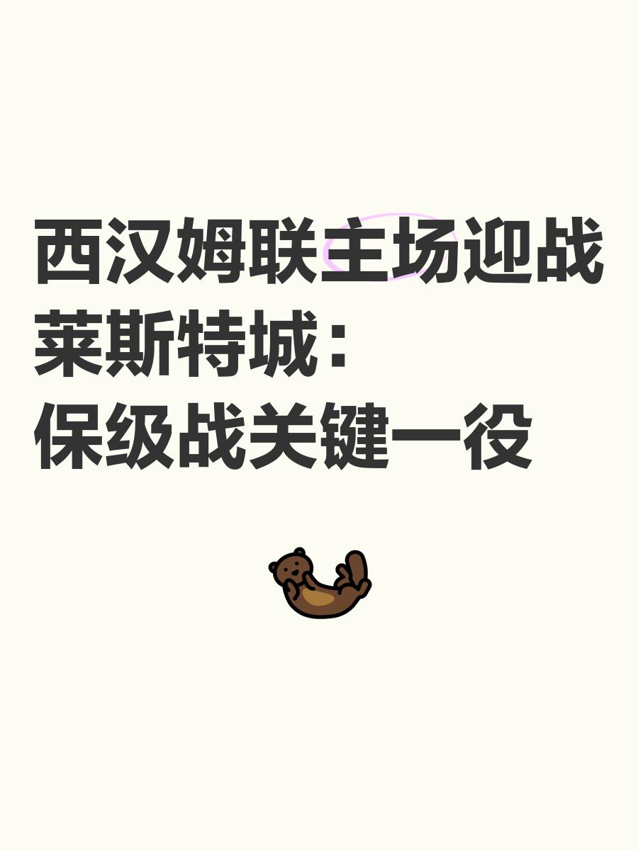 九游体育直播-莱斯特城主场不败局，全力保级的简单介绍