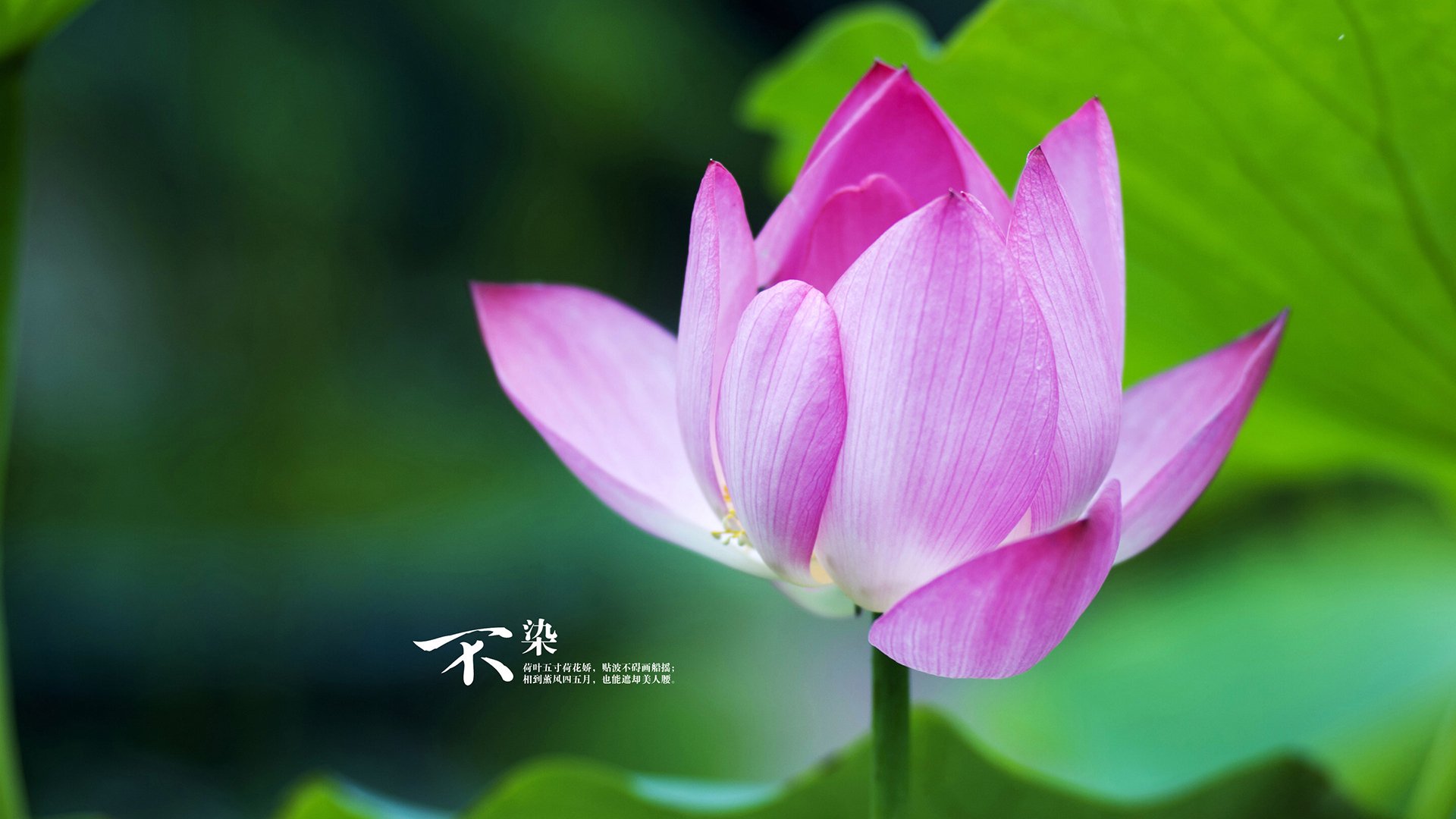 九游娱乐网页-吉林队掀翻NBA豪门！保罗惊天逆转成关键先生