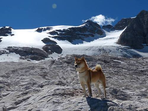 虚拟与现实的双重战场，马刺巅峰对决胜出辽宁队，布克在英超争冠接管比赛